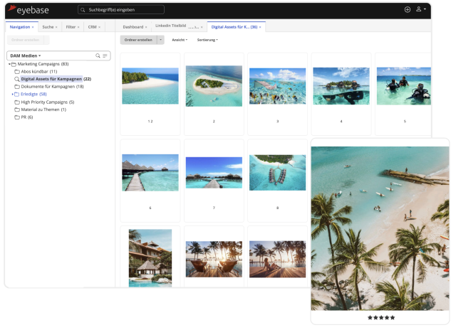 Display of the eyebase DAM interface