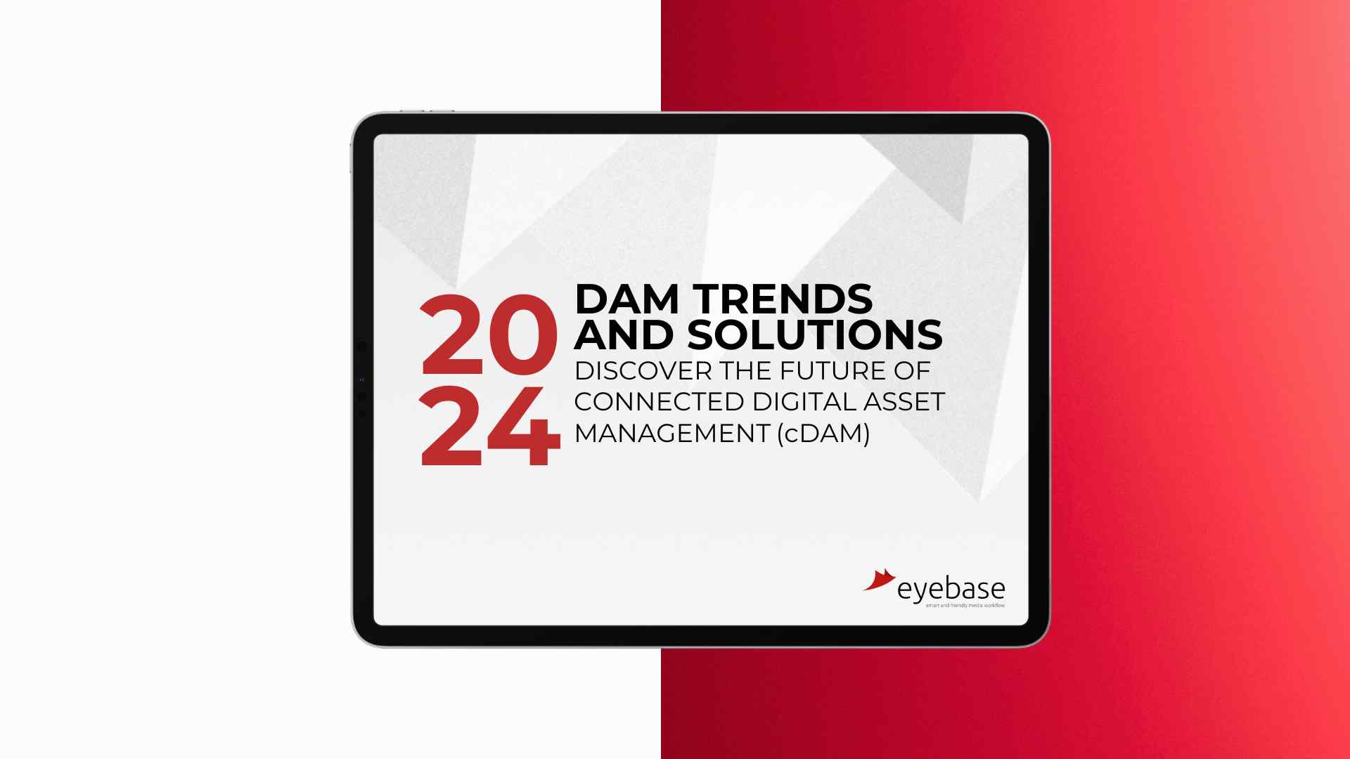 The 2024 DAM Trends and Solutions Report